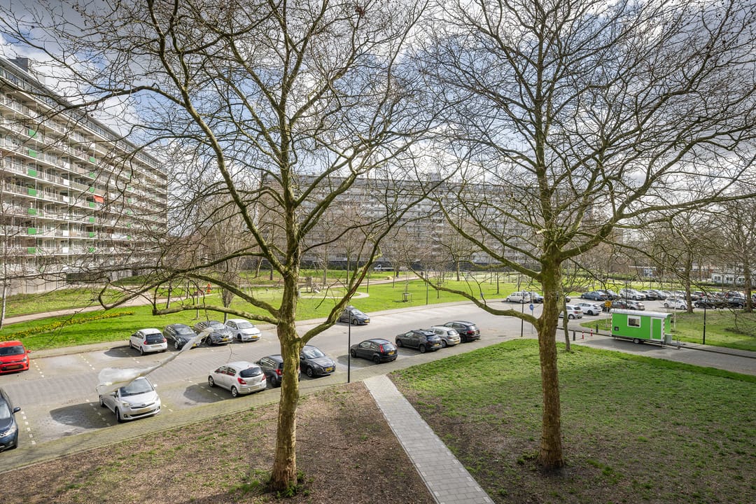 Photo 23 of Bachplein 233