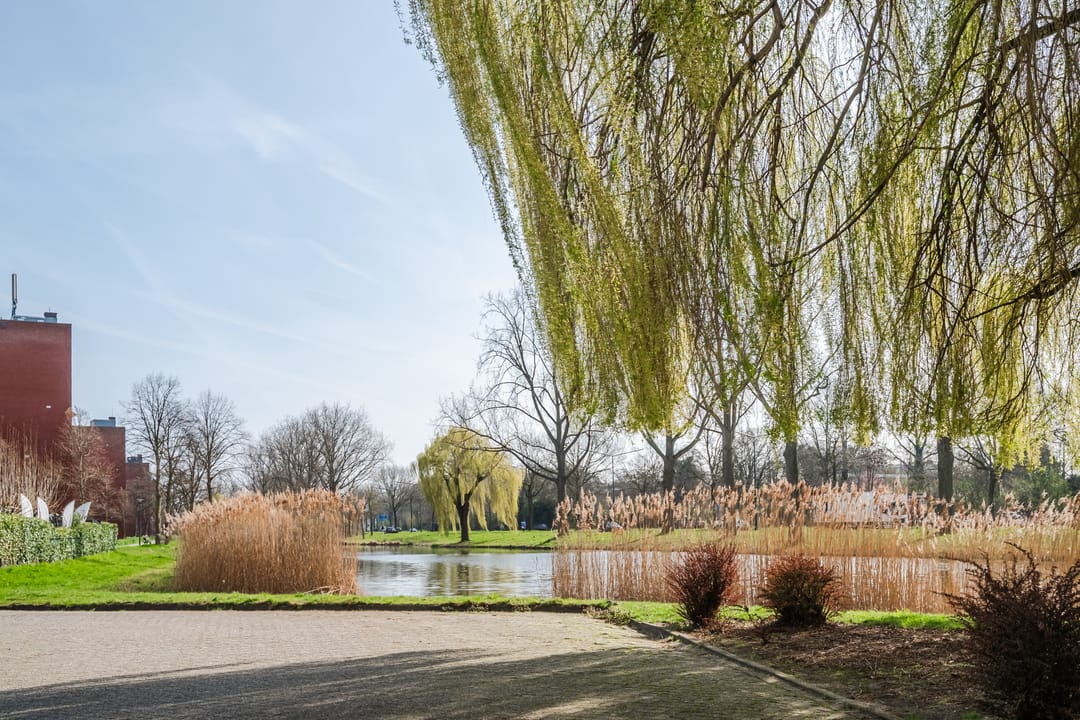 Foto 47 van Lelystraat 2-G88