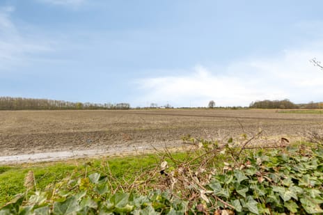 Helsedijk 17 tertiary image