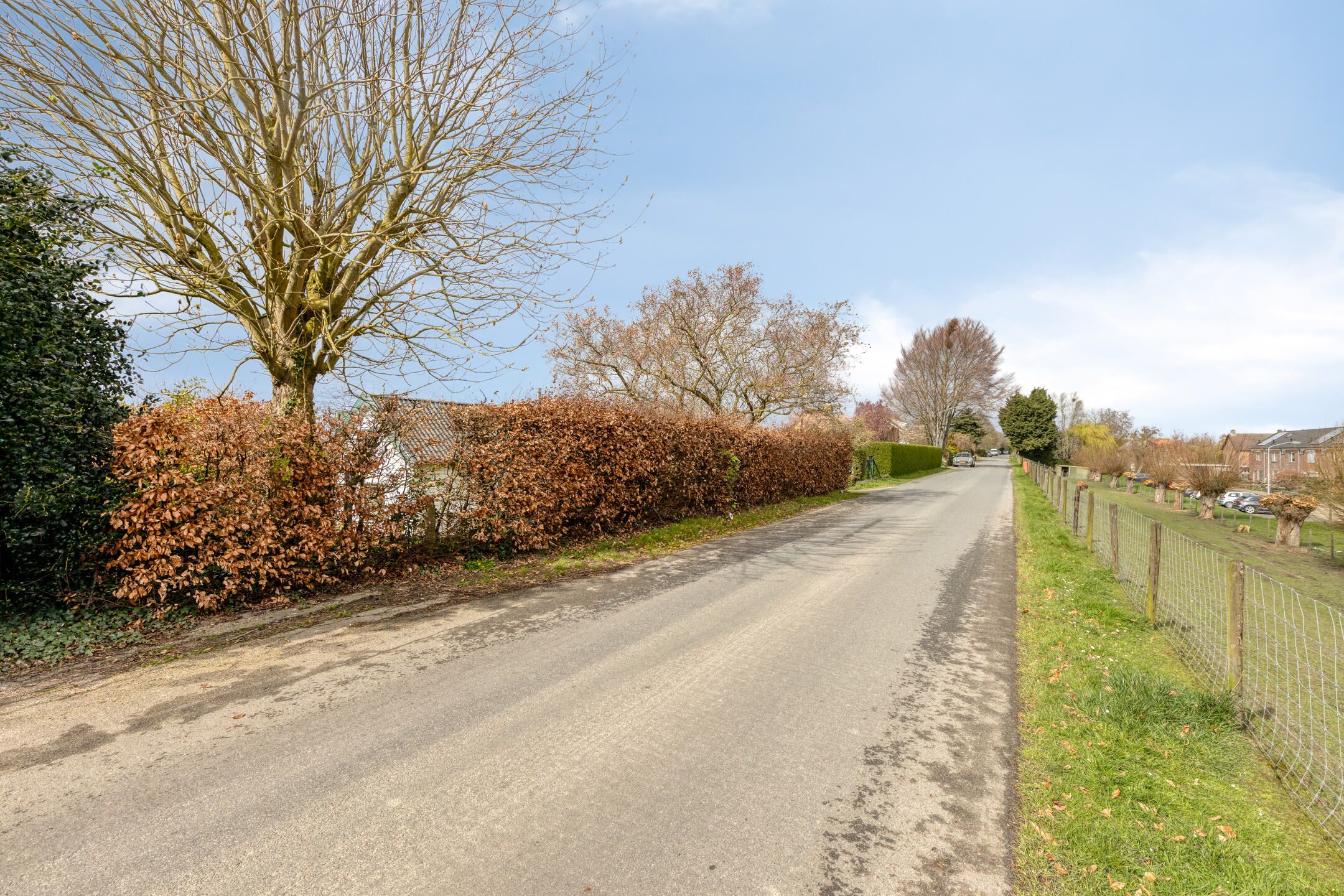 Photo 36 of Helsedijk 17