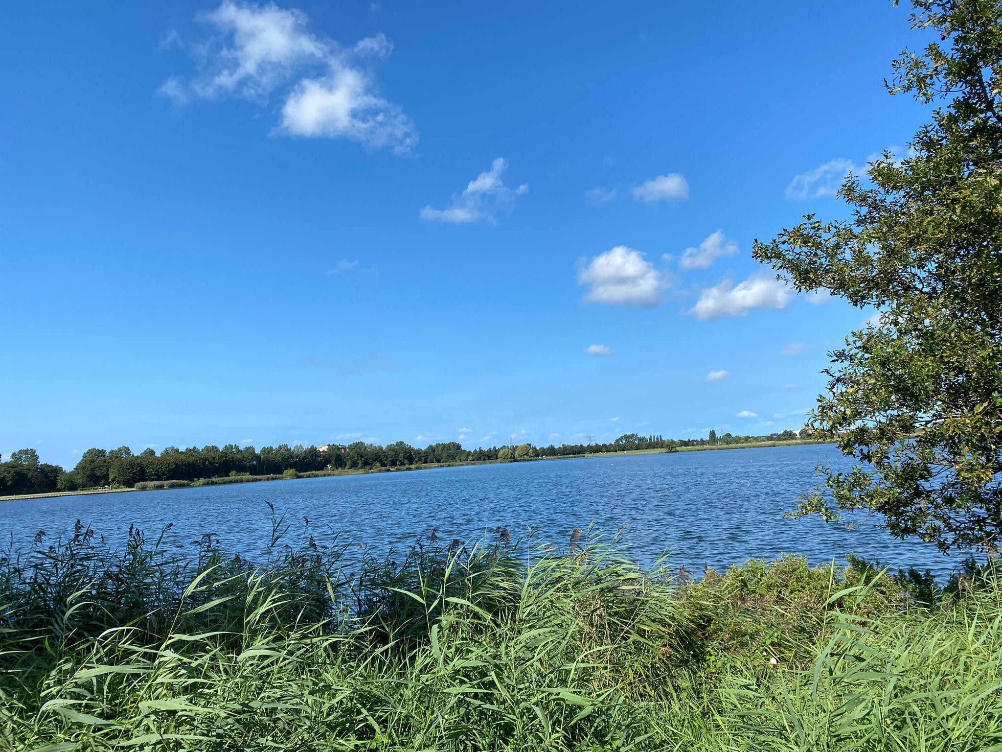 Foto 30 van Rhijngeesterstraatweg 40-J