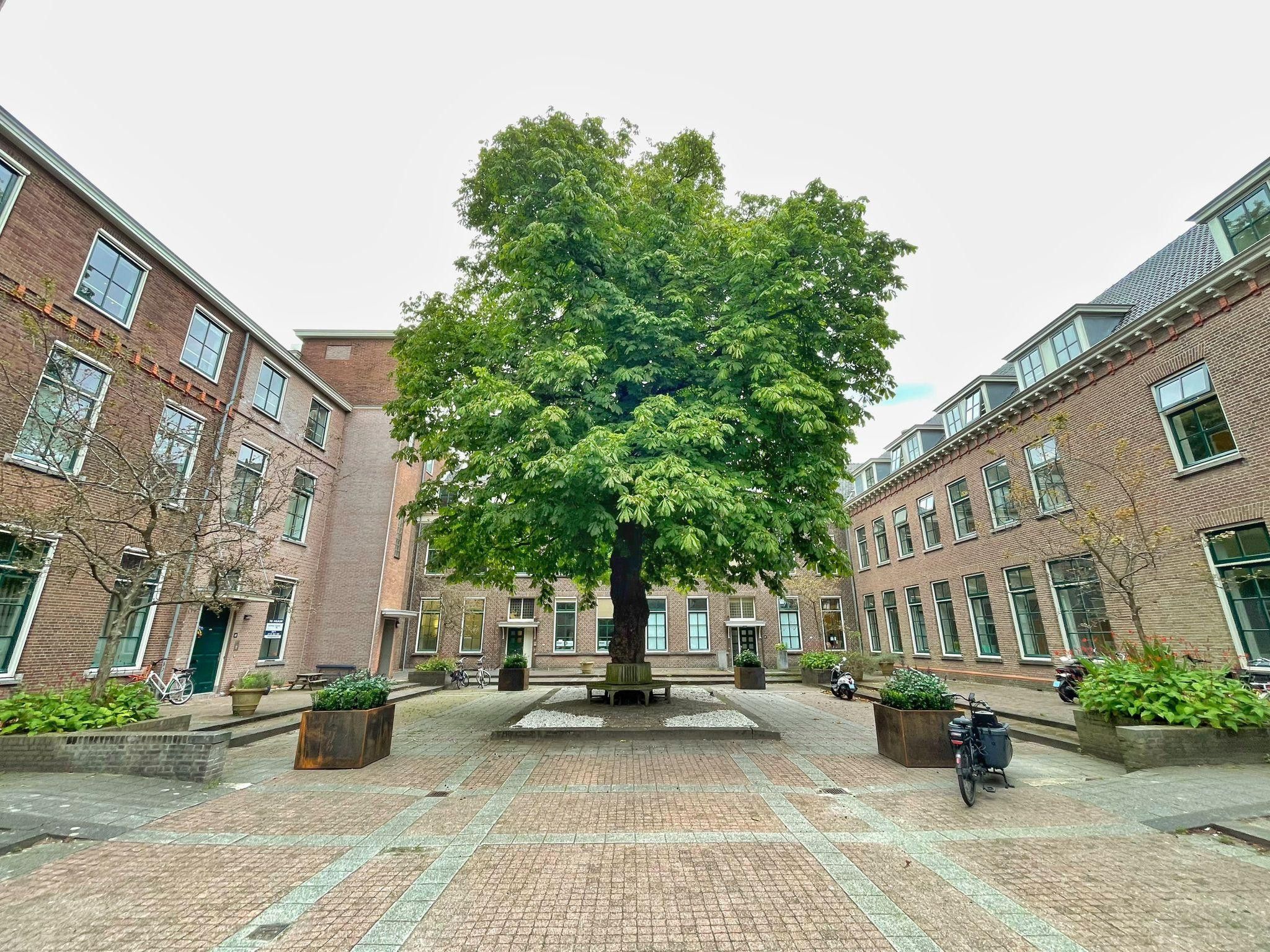 Foto 24 van Rhijngeesterstraatweg 40-J