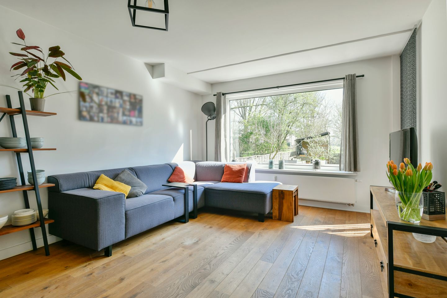 Foto 4 van Oostelijk Halfrond 101