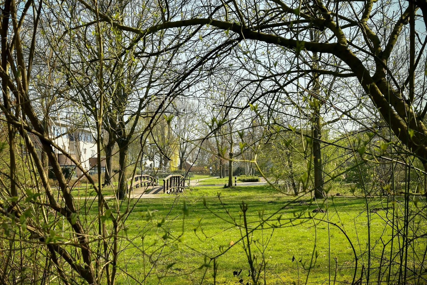 Foto 20 van Oostelijk Halfrond 101