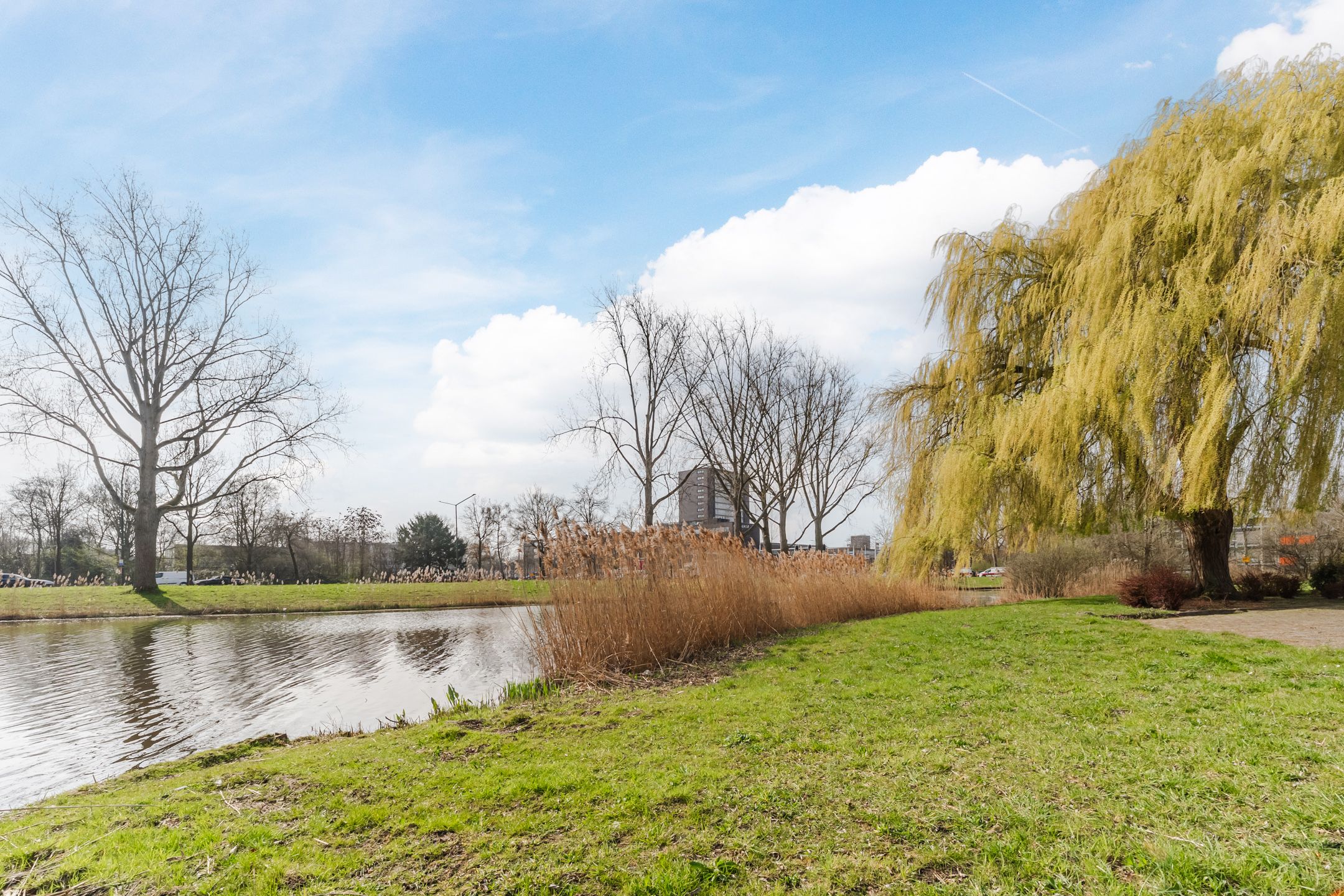 Foto 48 van Lelystraat 2-G88