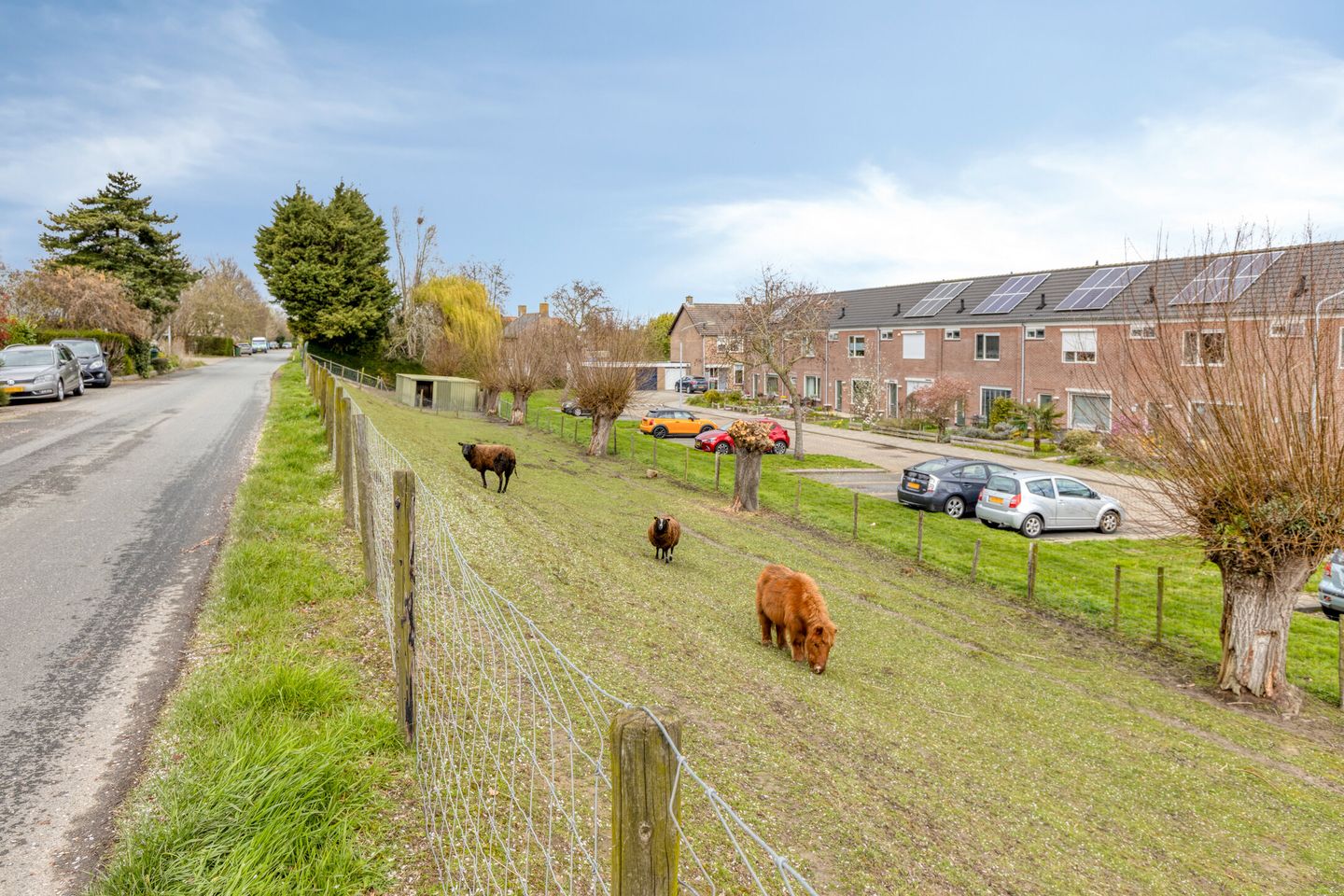 Photo 35 of Helsedijk 17