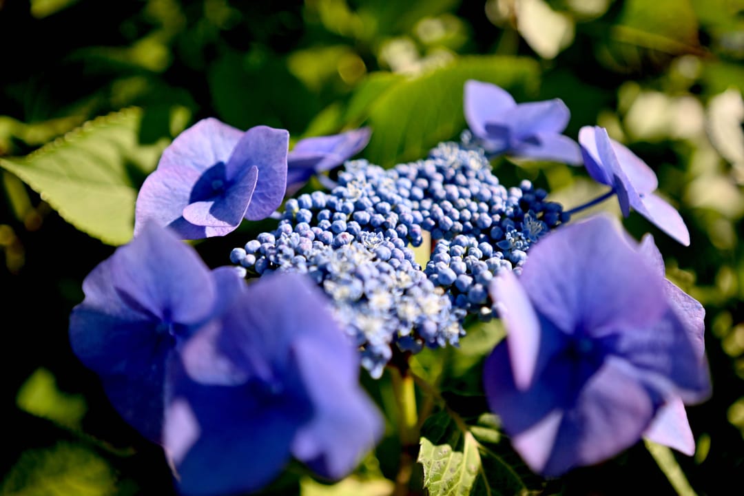 Foto 32 van Mina Krusemanlaan 7