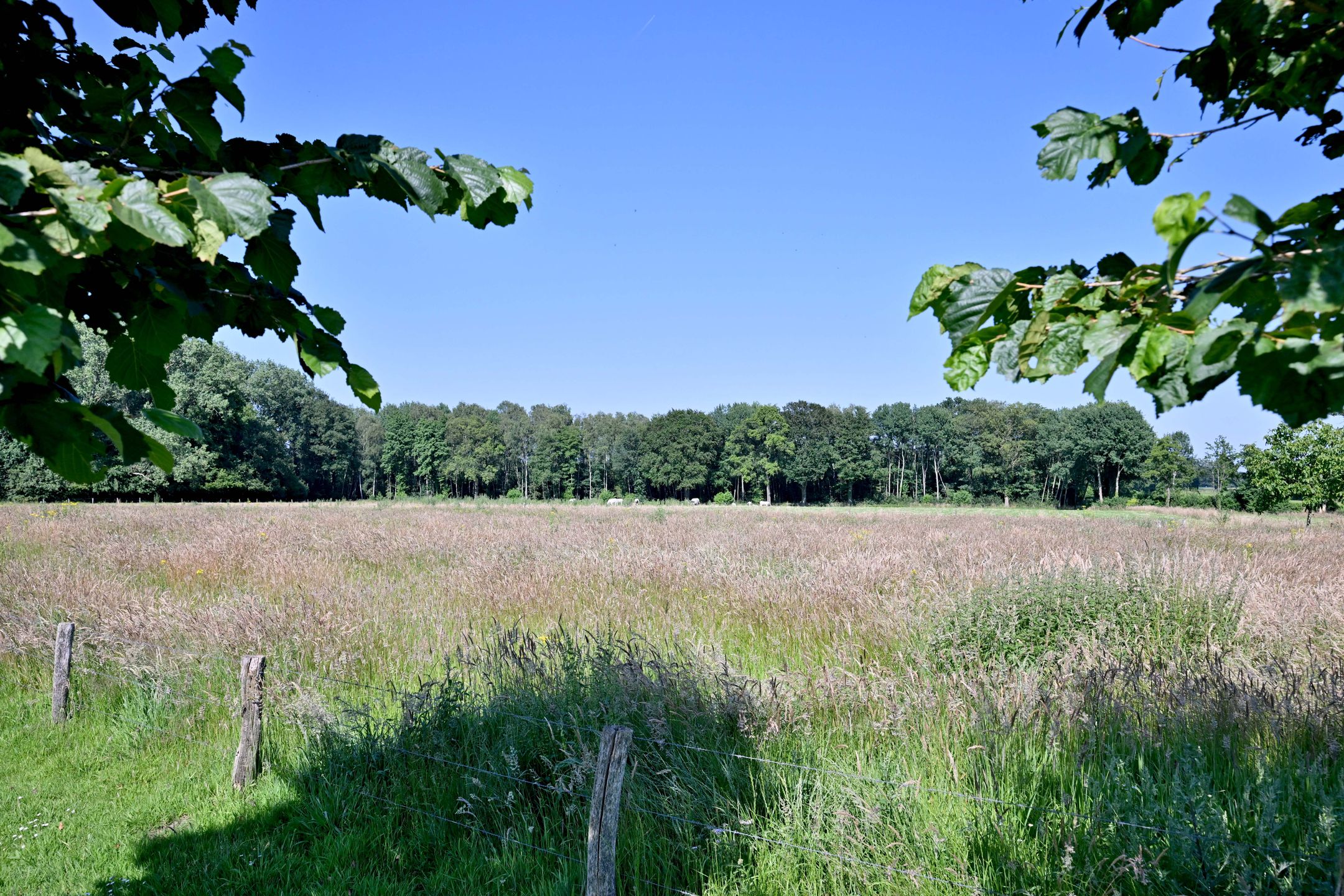 Foto 39 van Mina Krusemanlaan 7