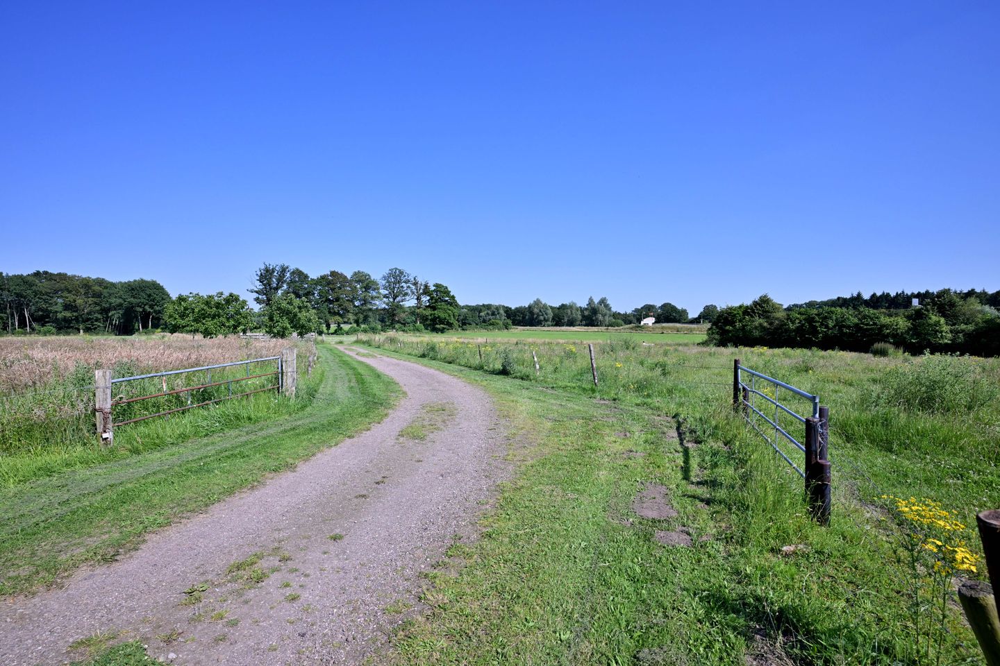 Foto 40 van Mina Krusemanlaan 7