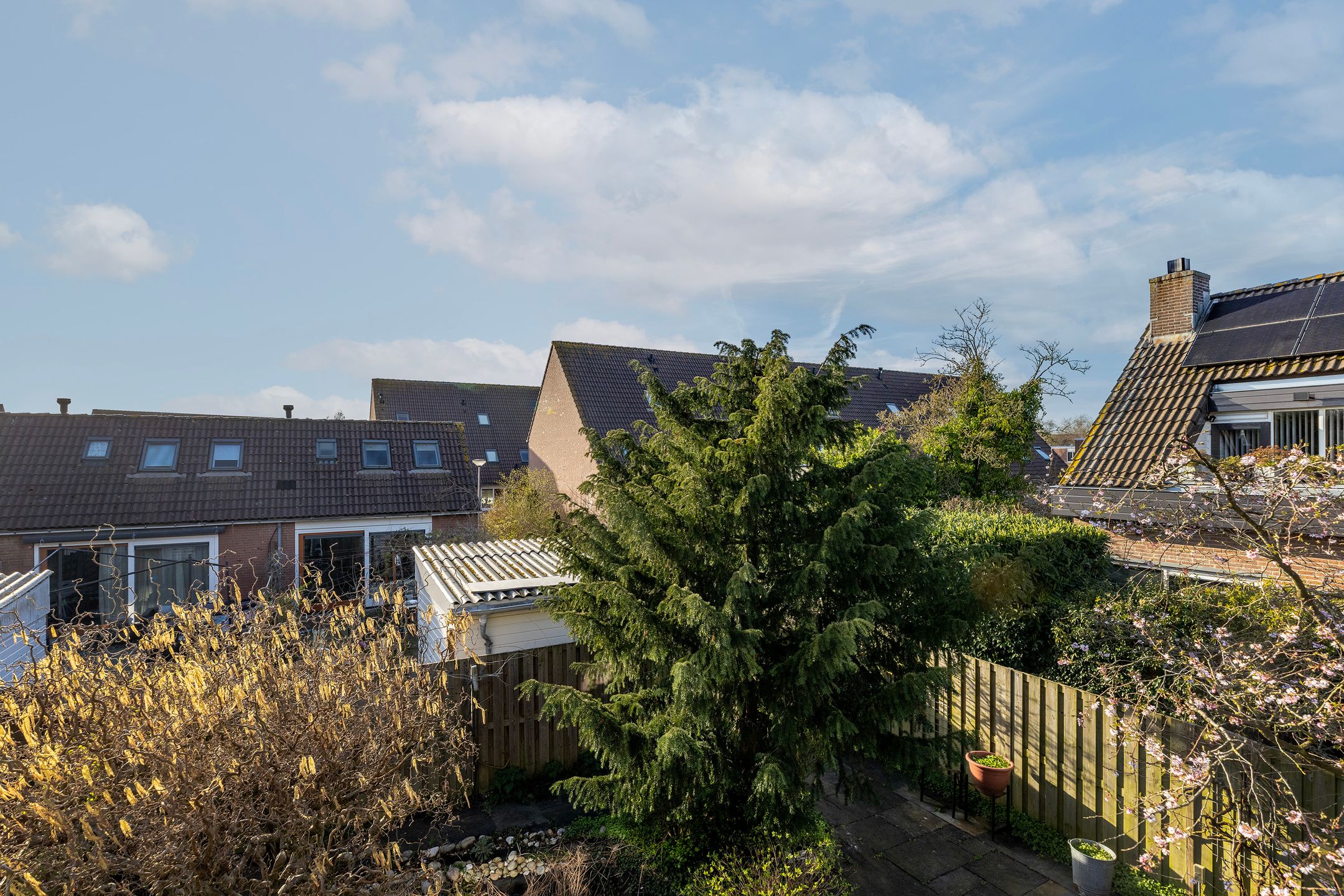 Foto 51 van Roos van Dekama erf 15