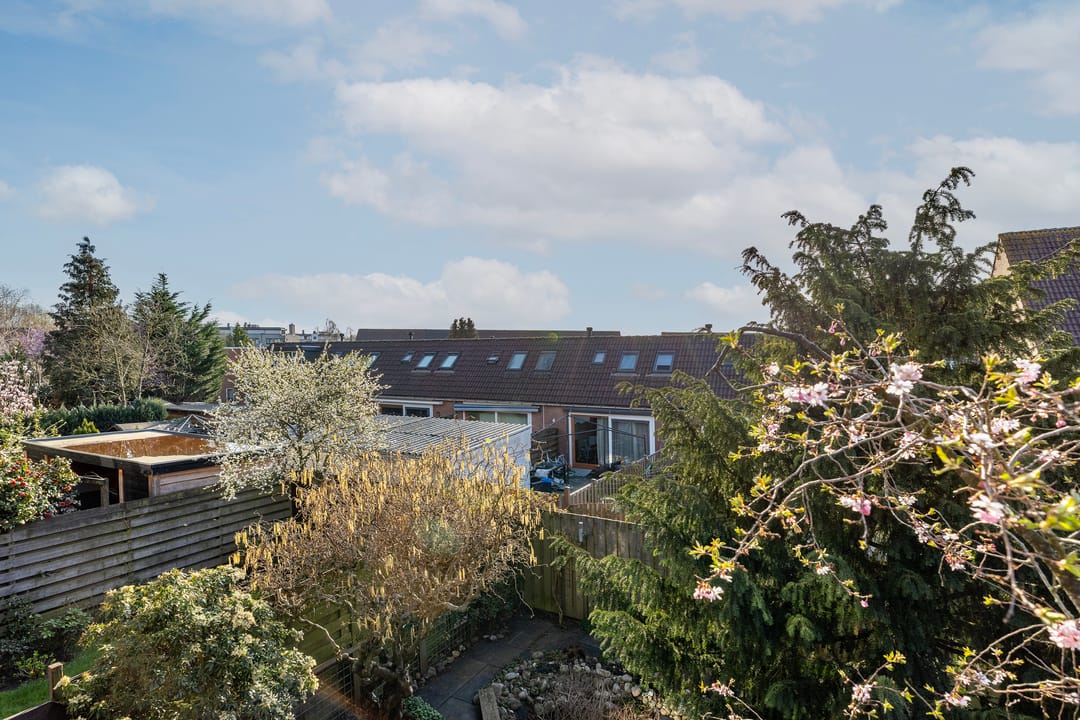 Foto 52 van Roos van Dekama erf 15