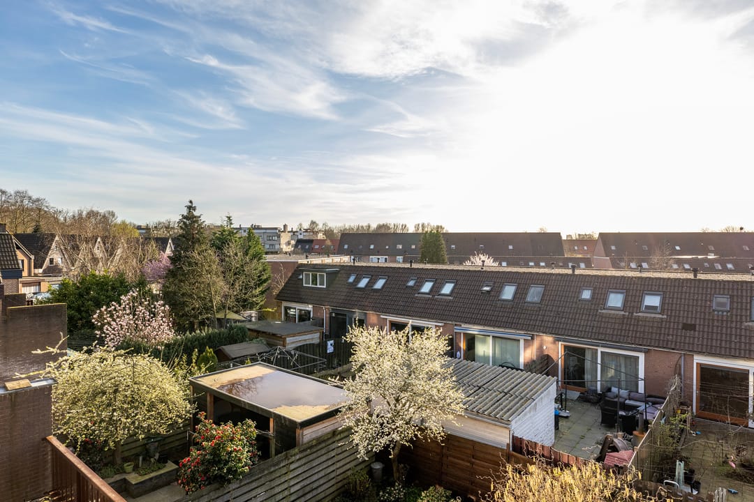 Foto 53 van Roos van Dekama erf 15