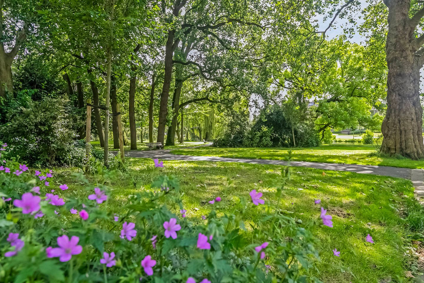 Foto 44 van 3e Ebbingestraat 26