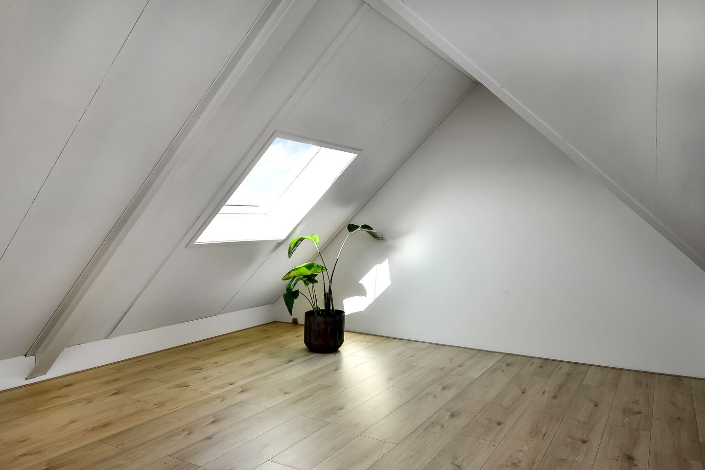 Foto 29 van Luikap 1