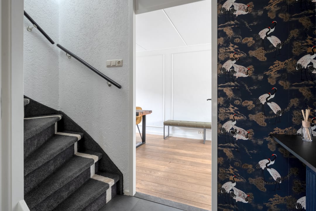 Foto 8 van De Karekiet 3