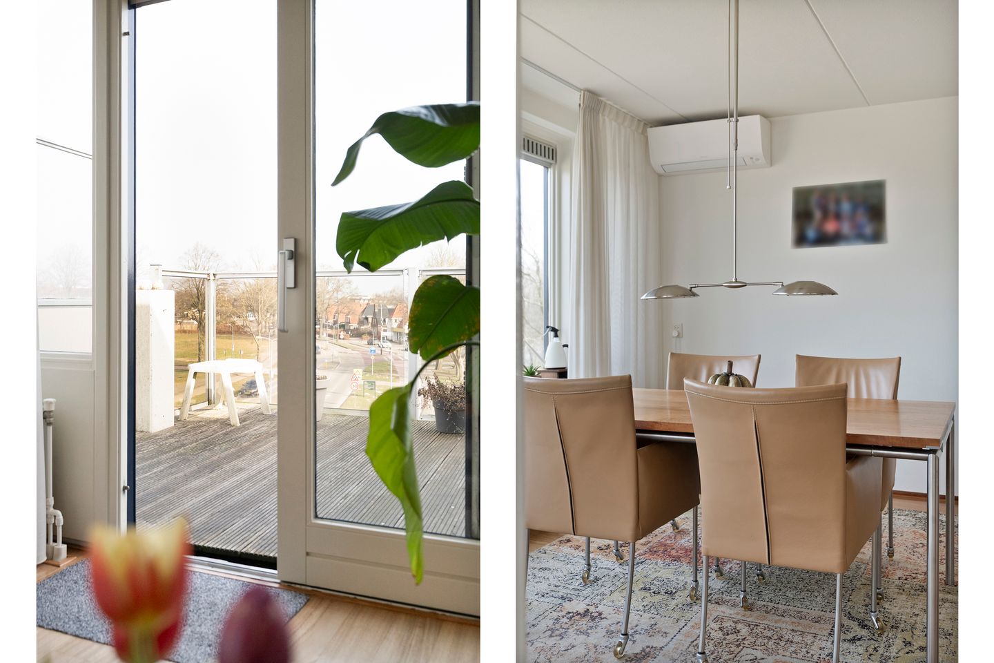 Foto 25 van Gentiaan 20