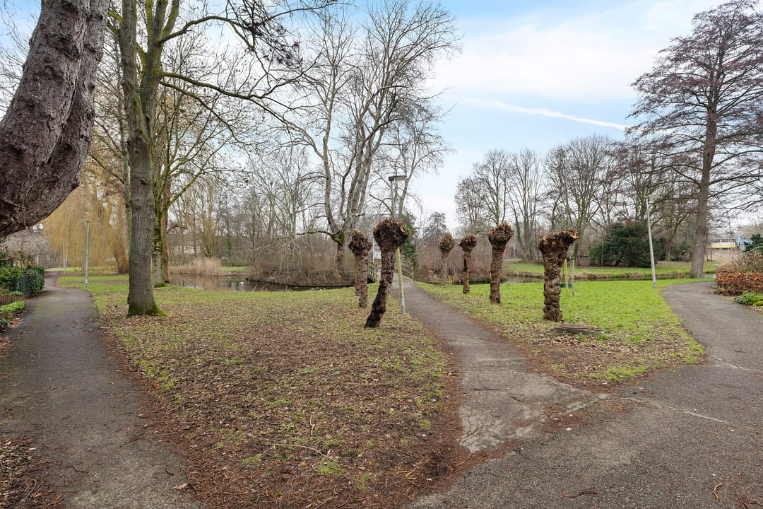 Photo 38 of Kerveltuin 46
