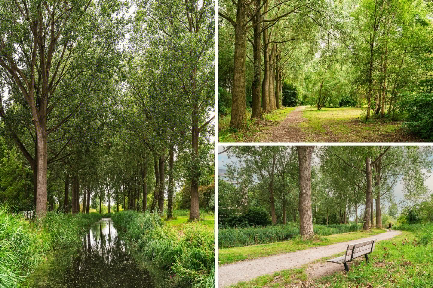 Foto 59 van Tobias Asserlaan 421