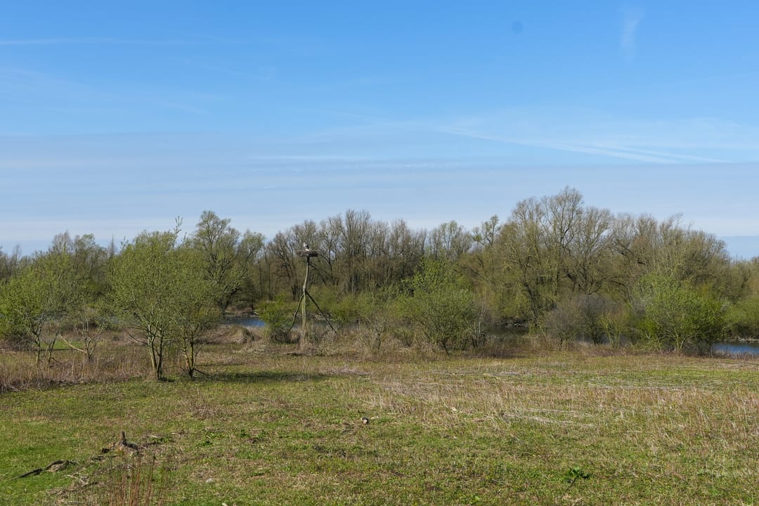 Foto 53 van Duffeltdijk 9