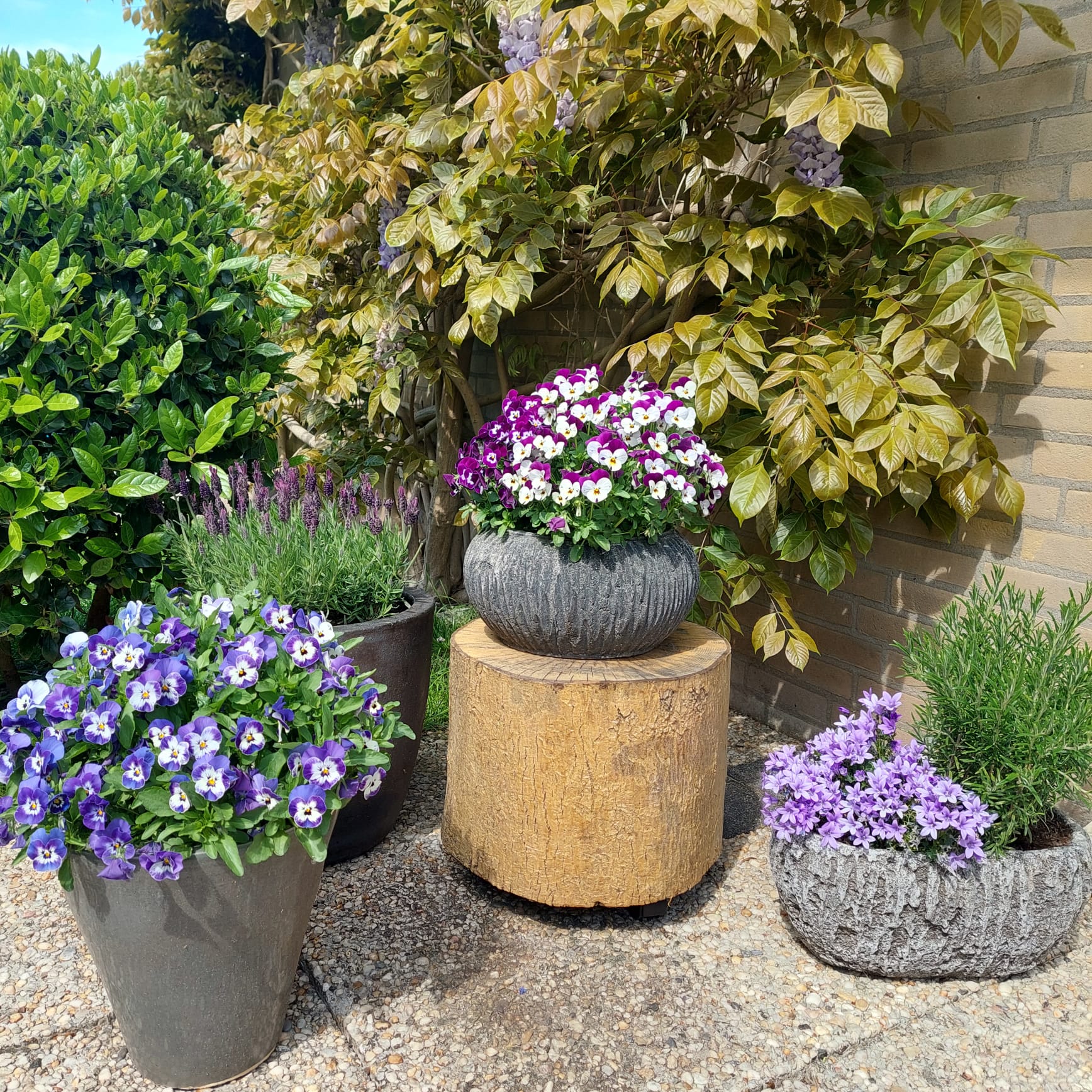 Foto 45 van Uiterwaard 91