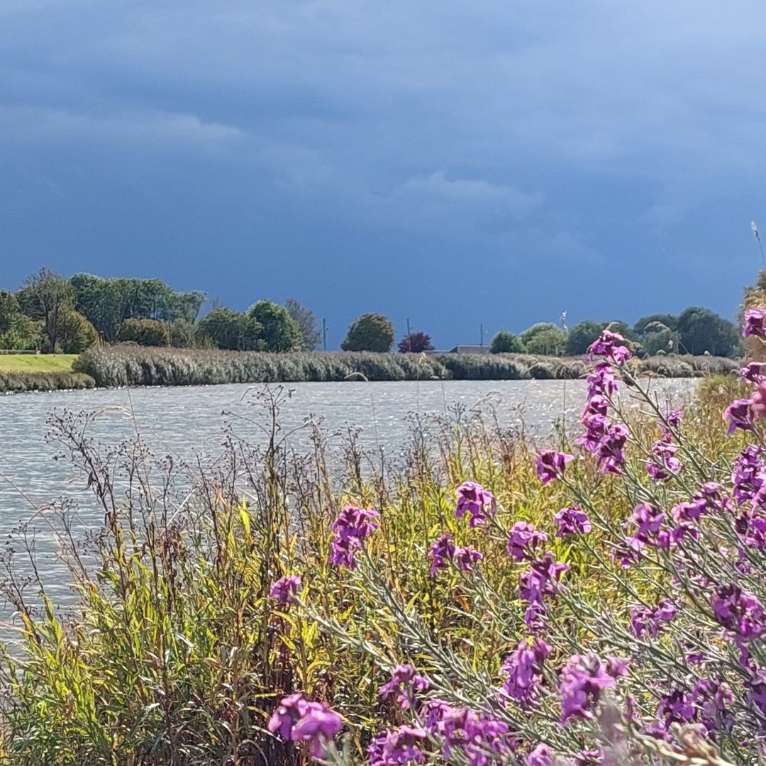 Foto 47 van Uiterwaard 91