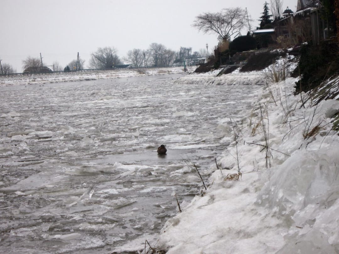 Foto 52 van Uiterwaard 91