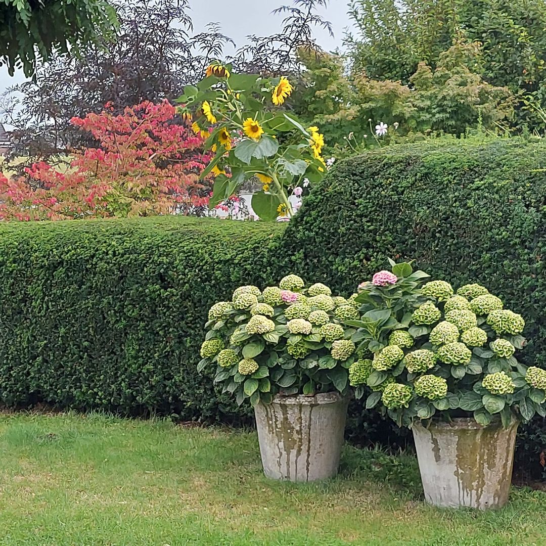 Foto 46 van Uiterwaard 91