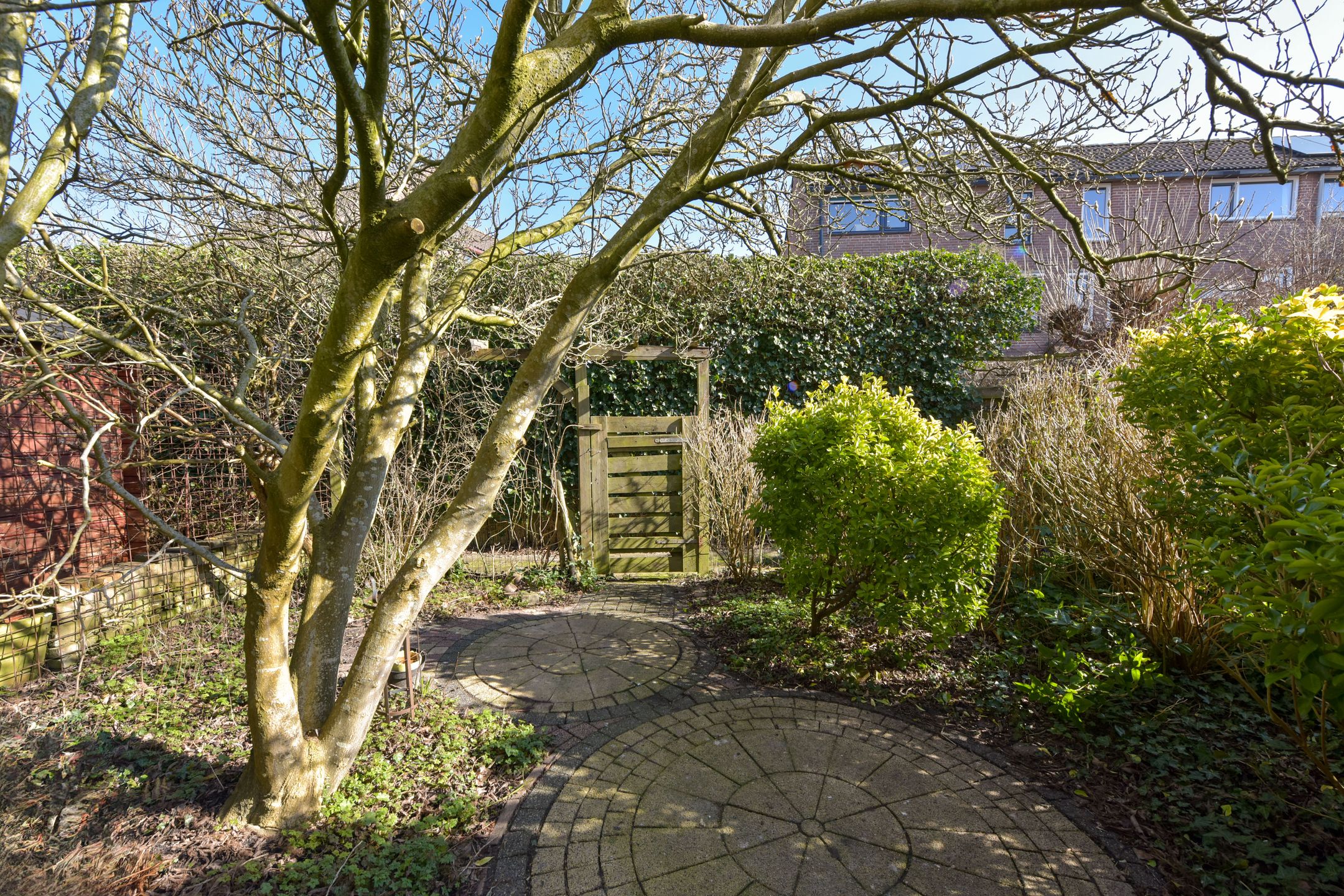 Photo 24 of Kerketuin 80