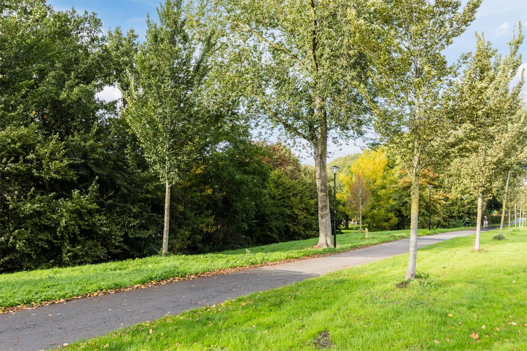 Foto 56 van Hofland 118