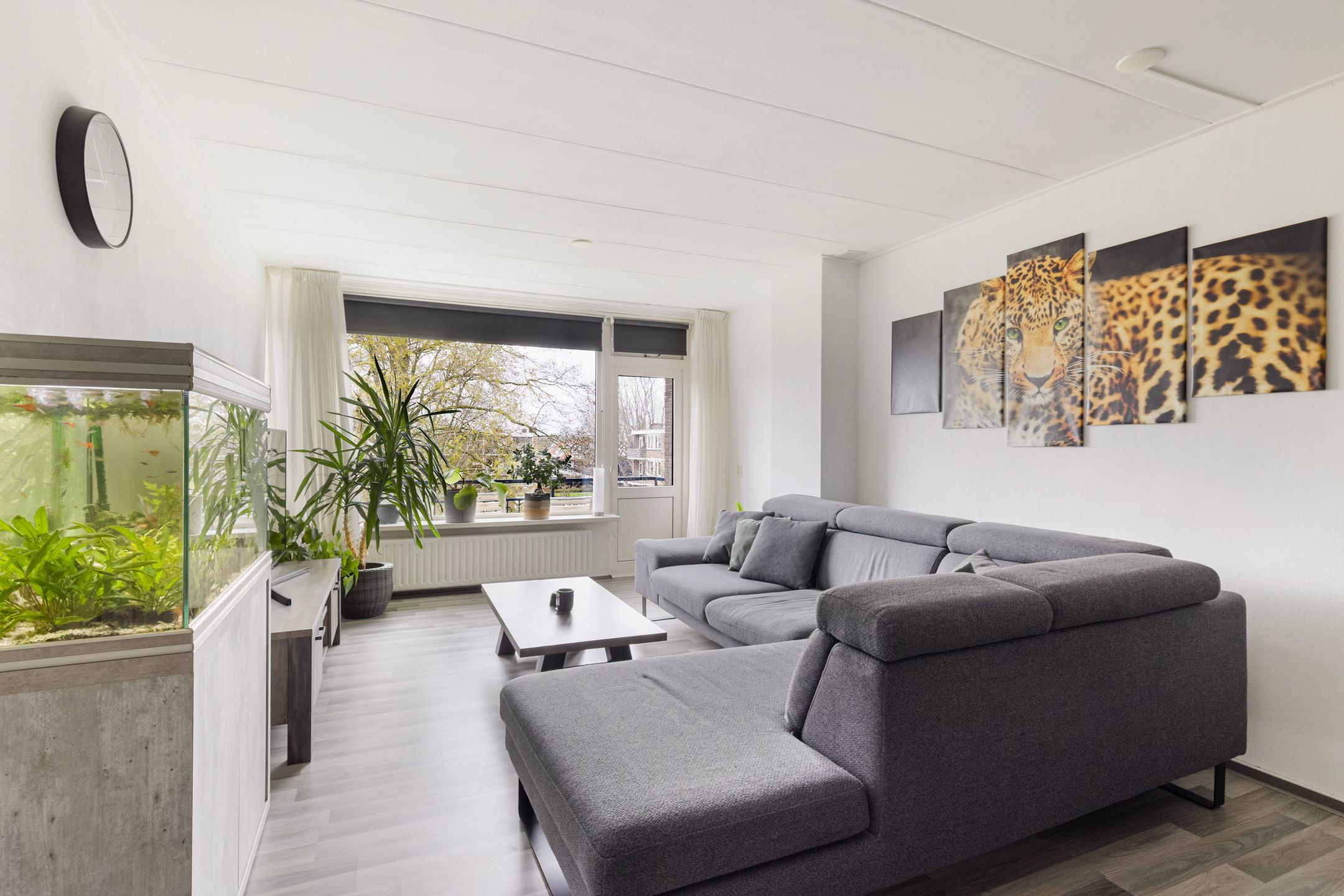 Foto 12 van Capella 101