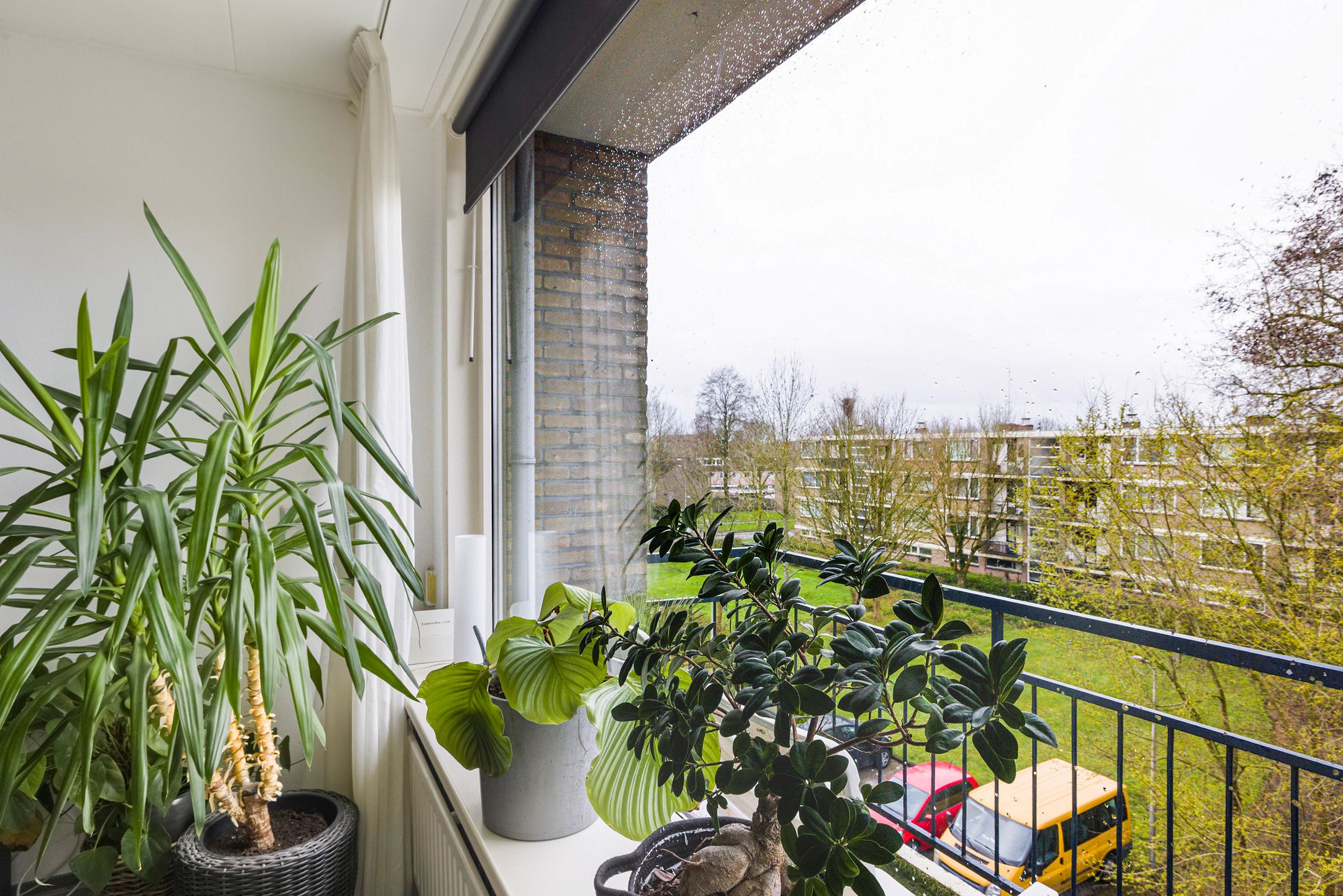 Foto 15 van Capella 101