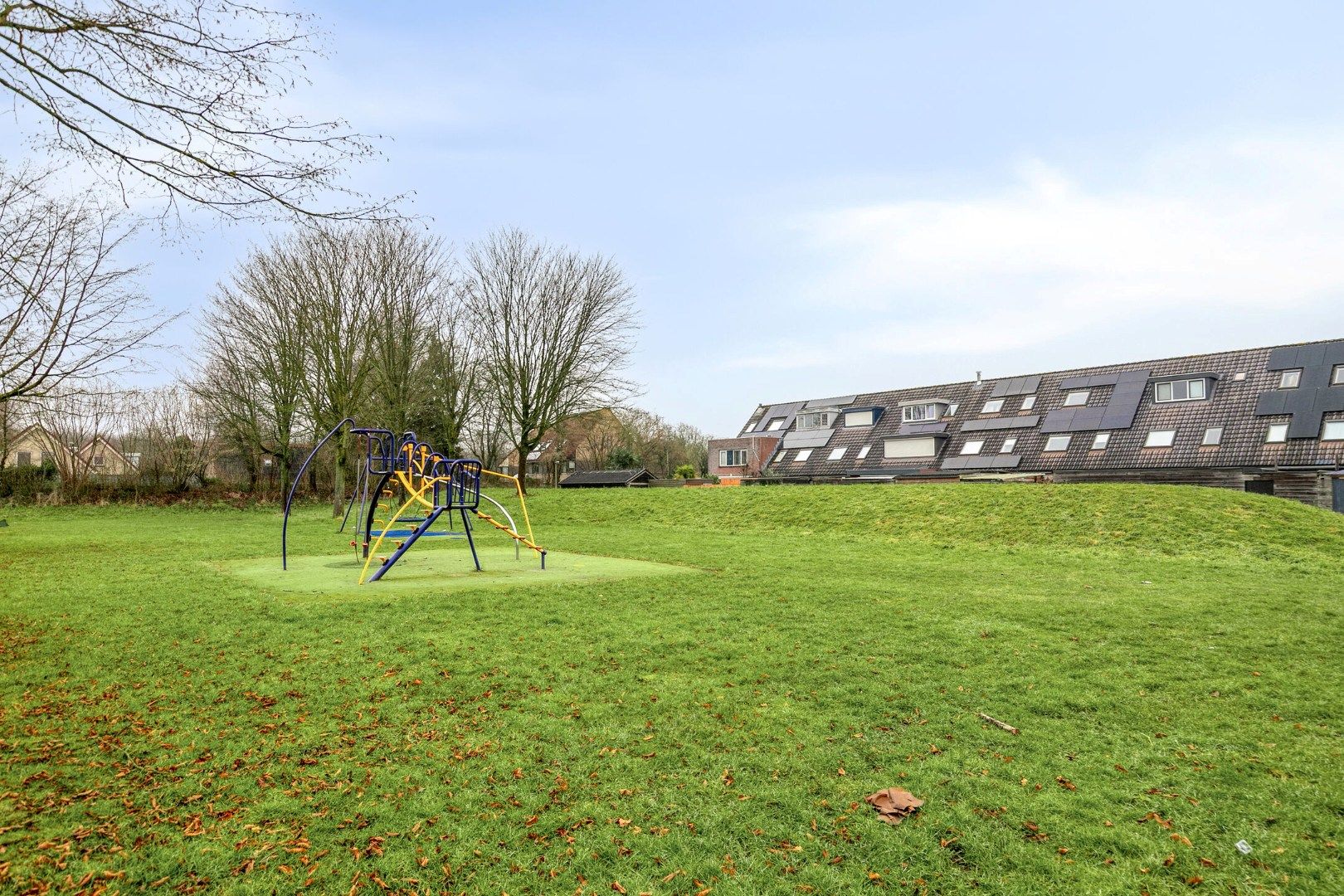 Foto 3 van Grote Beer 43