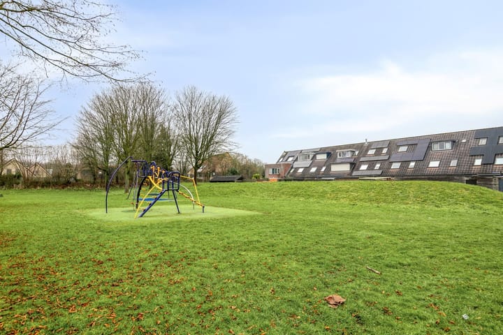 Foto 3 van Grote Beer 43