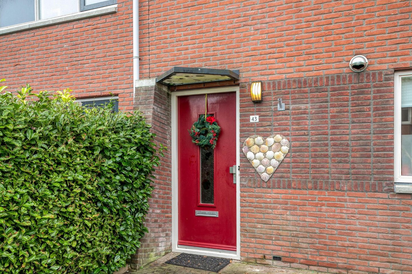 Foto 4 van Grote Beer 43