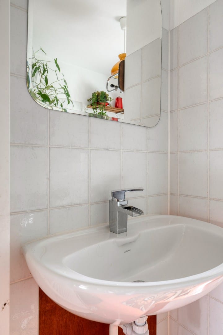 Foto 24 van Grote Beer 43