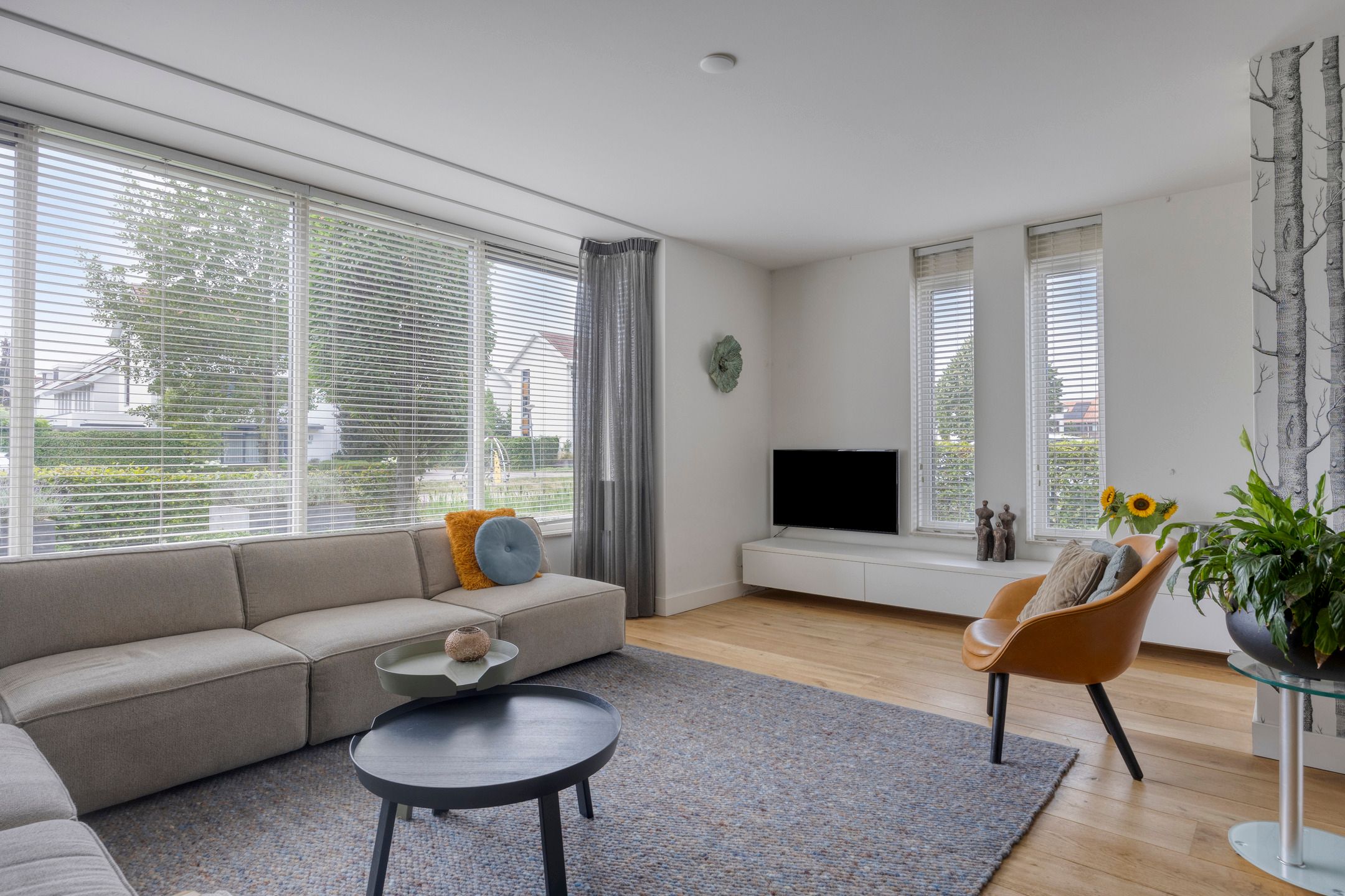 Foto 3 van Emeraldpad 50