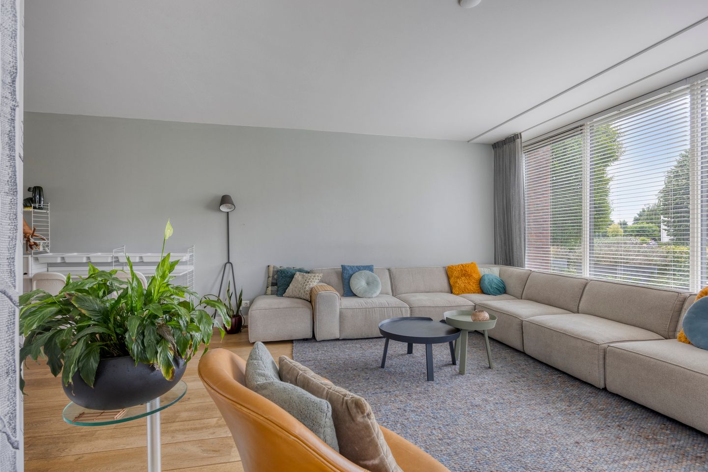 Foto 4 van Emeraldpad 50