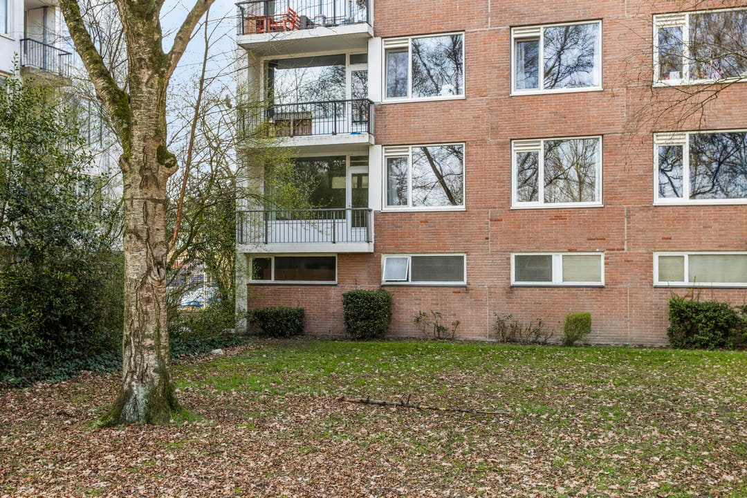 Foto 7 van Pisanostraat 78