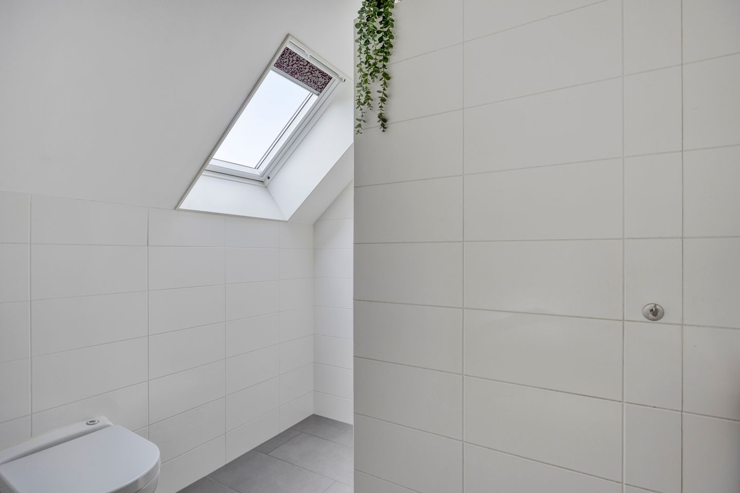 Foto 29 van Emeraldpad 50