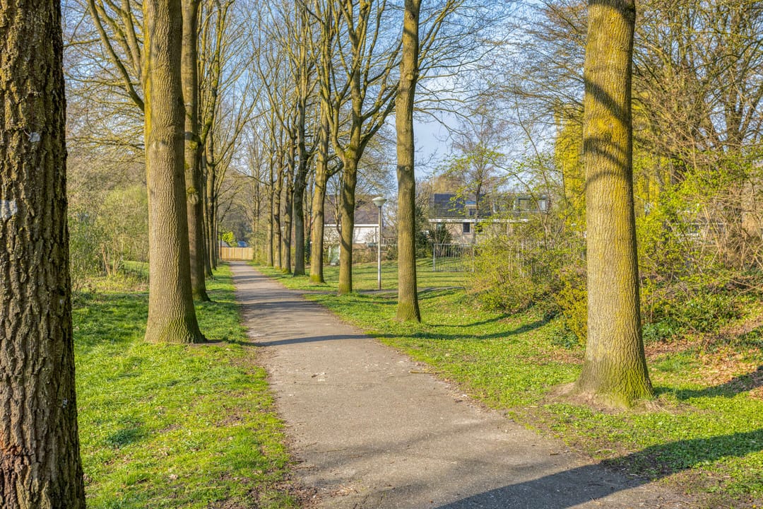 Photo 58 of de Ganzeboom 159