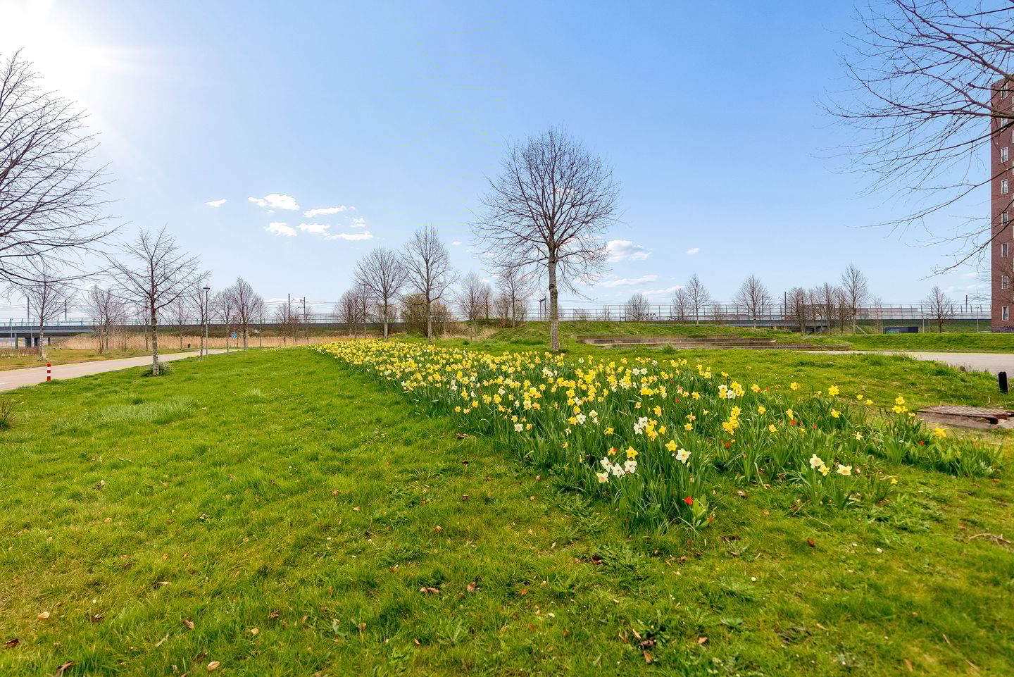 Photo 40 of Anubisstraat 90