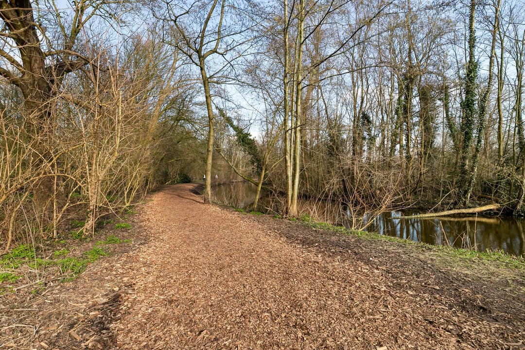 Foto 26 van Overtoom 495-2