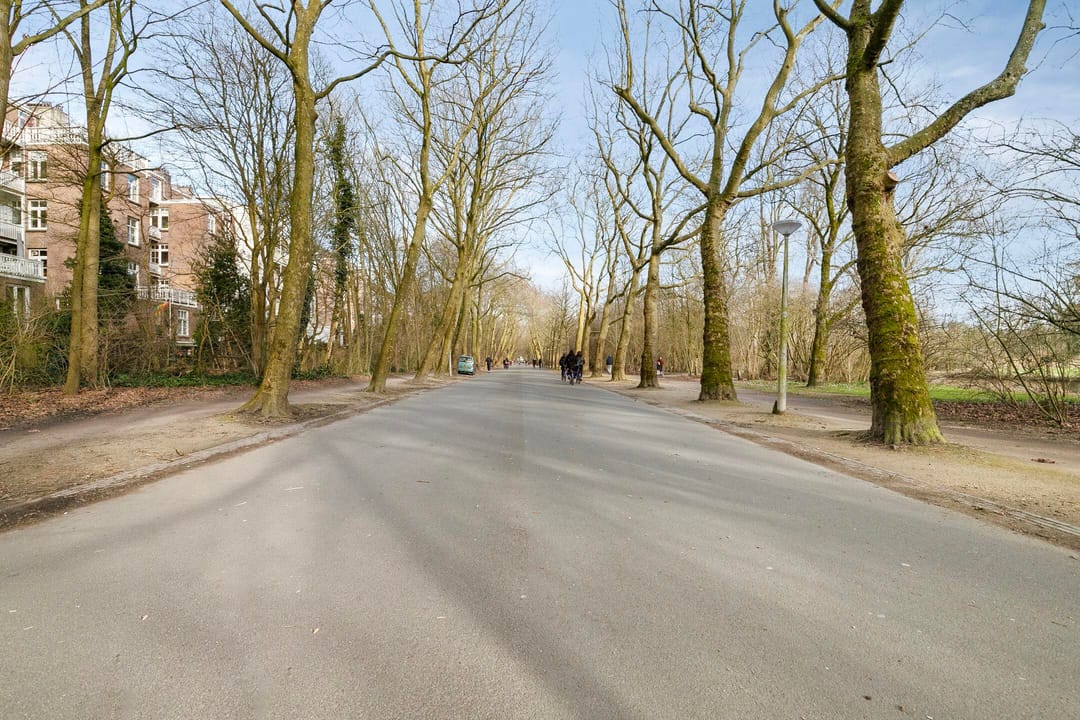 Foto 28 van Overtoom 495-2