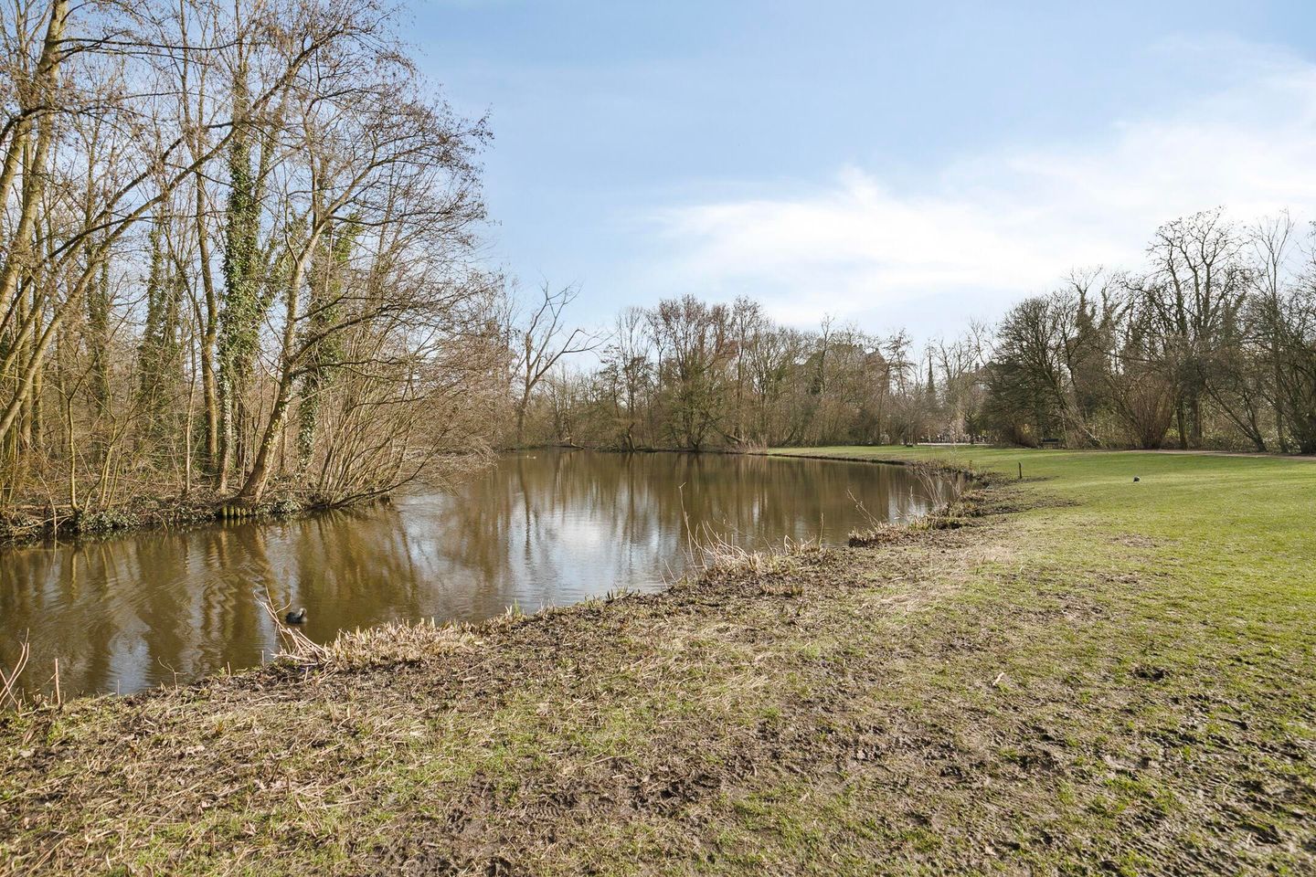 Foto 29 van Overtoom 495-2