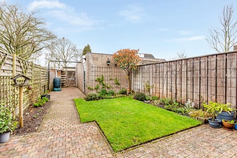 Zwanebloem 22 secondary image