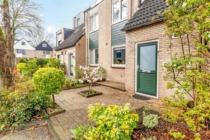 Photo 4 of Zwanebloem 22