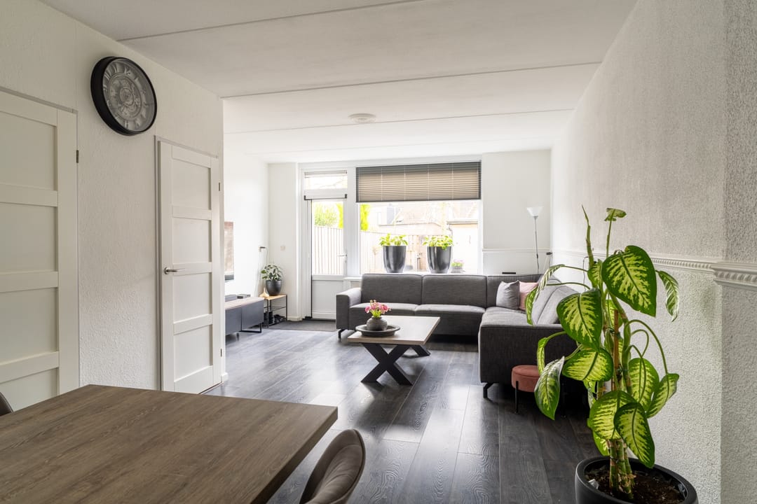 Foto 8 van Zilverschoon 34