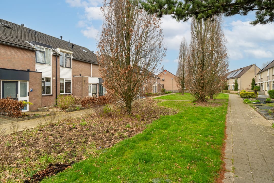 Foto 2 van Zilverschoon 34