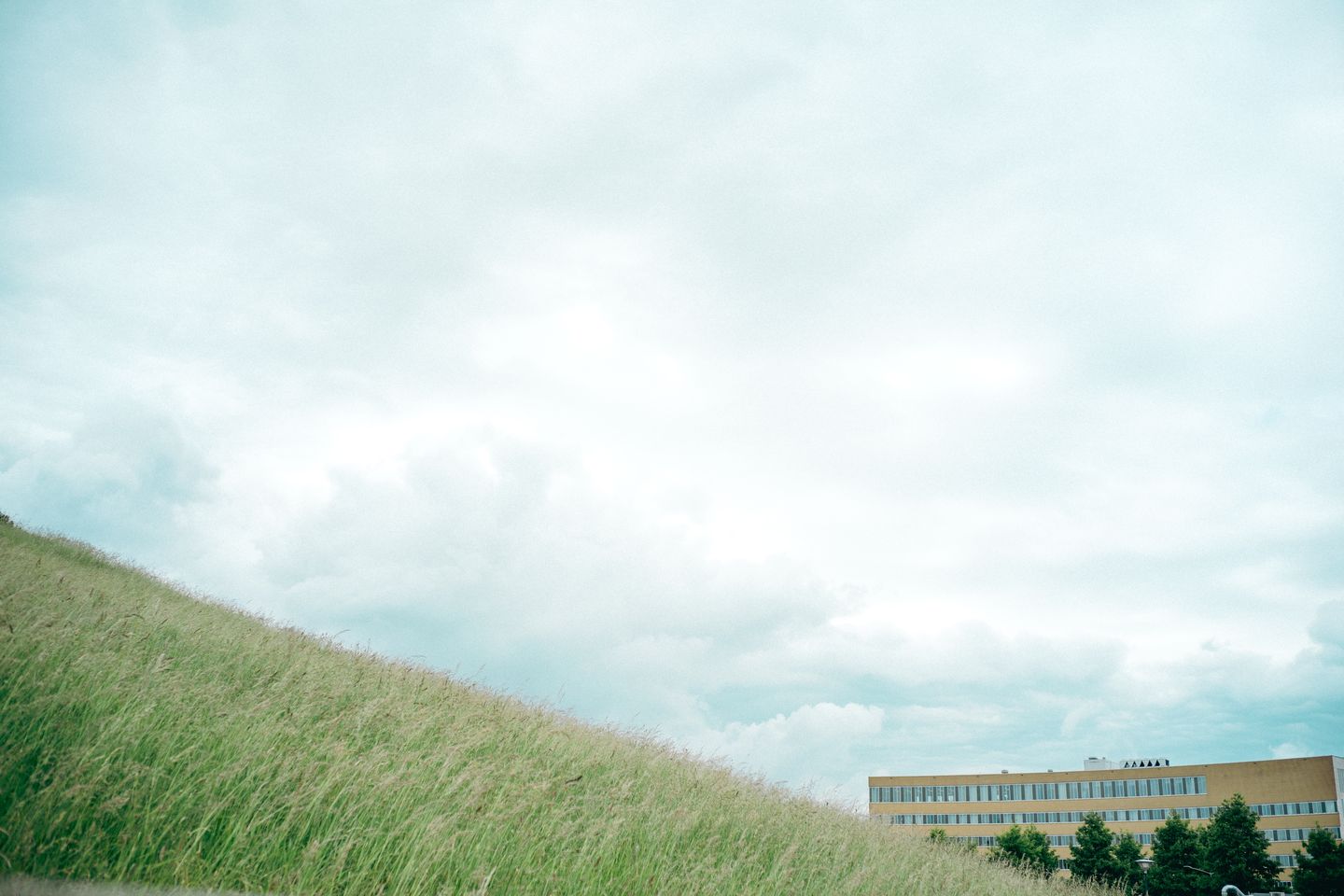 Bekijk foto 1 van Meander 901