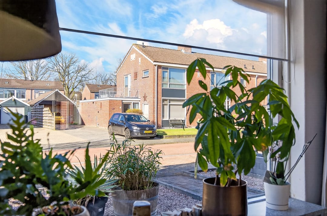 Foto 11 van Violenstraat 20